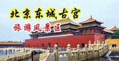 嗯啊好爽视频中国北京-东城古宫旅游风景区